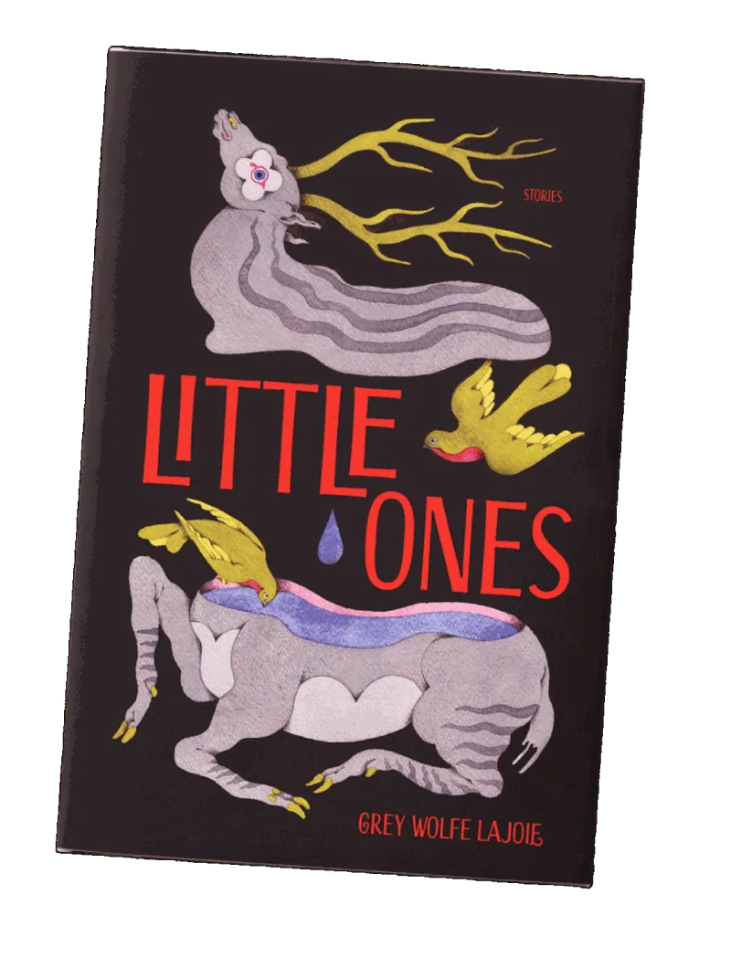Little Ones — order from Hub City Press